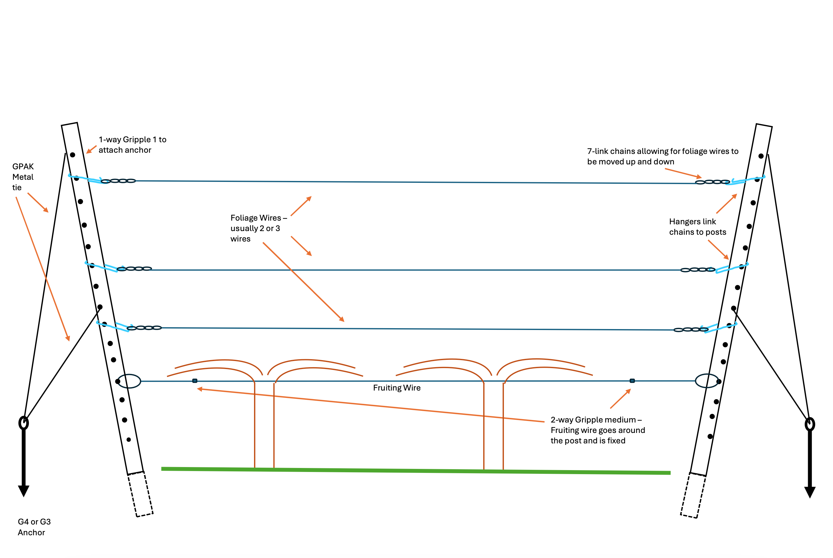 Box of galvanised 7 link chains (100 pieces)