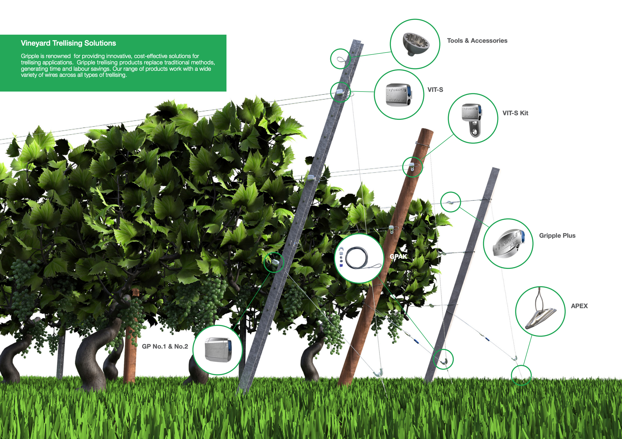 Trellis Anchors & Connectors