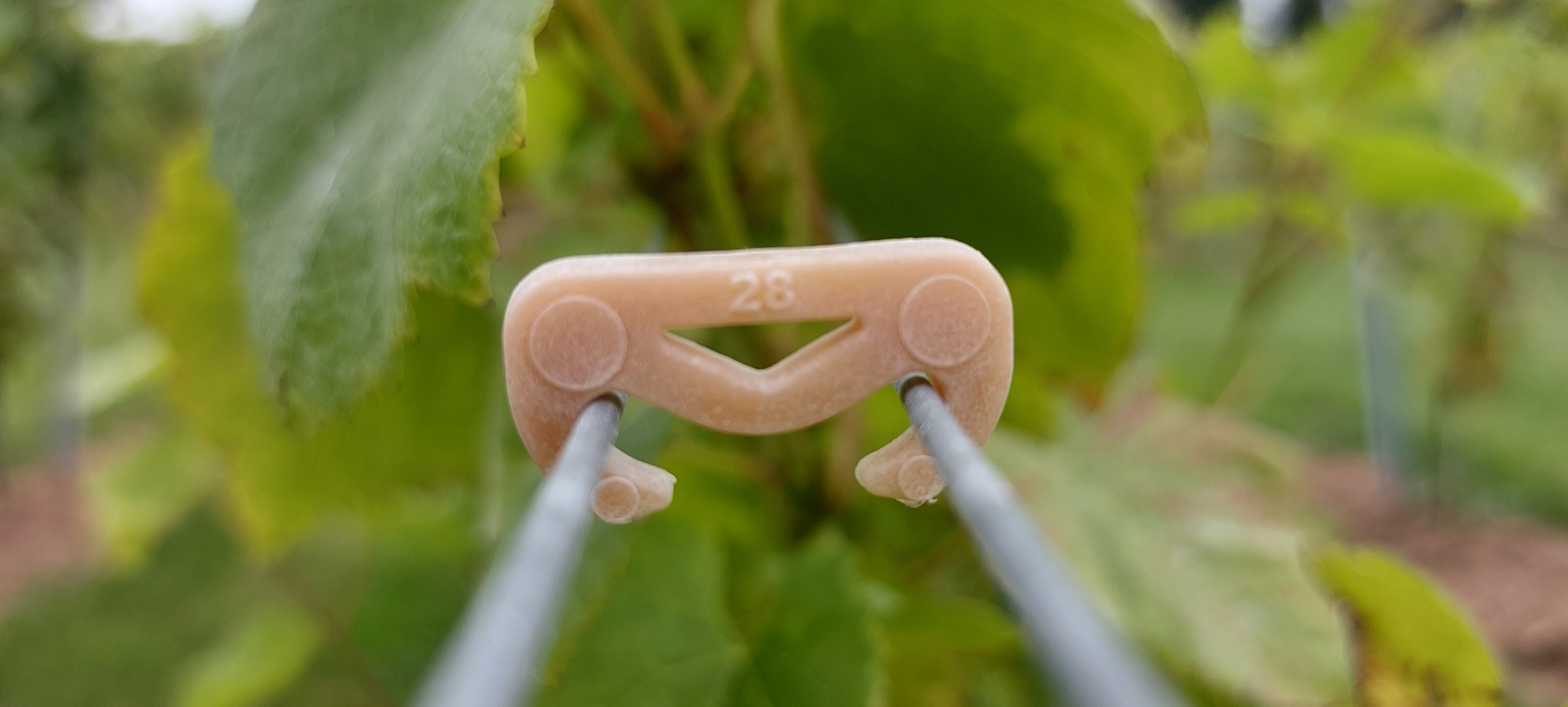 Biodegradeable Foliage Wire Clips 20mm (bucket of 2700)